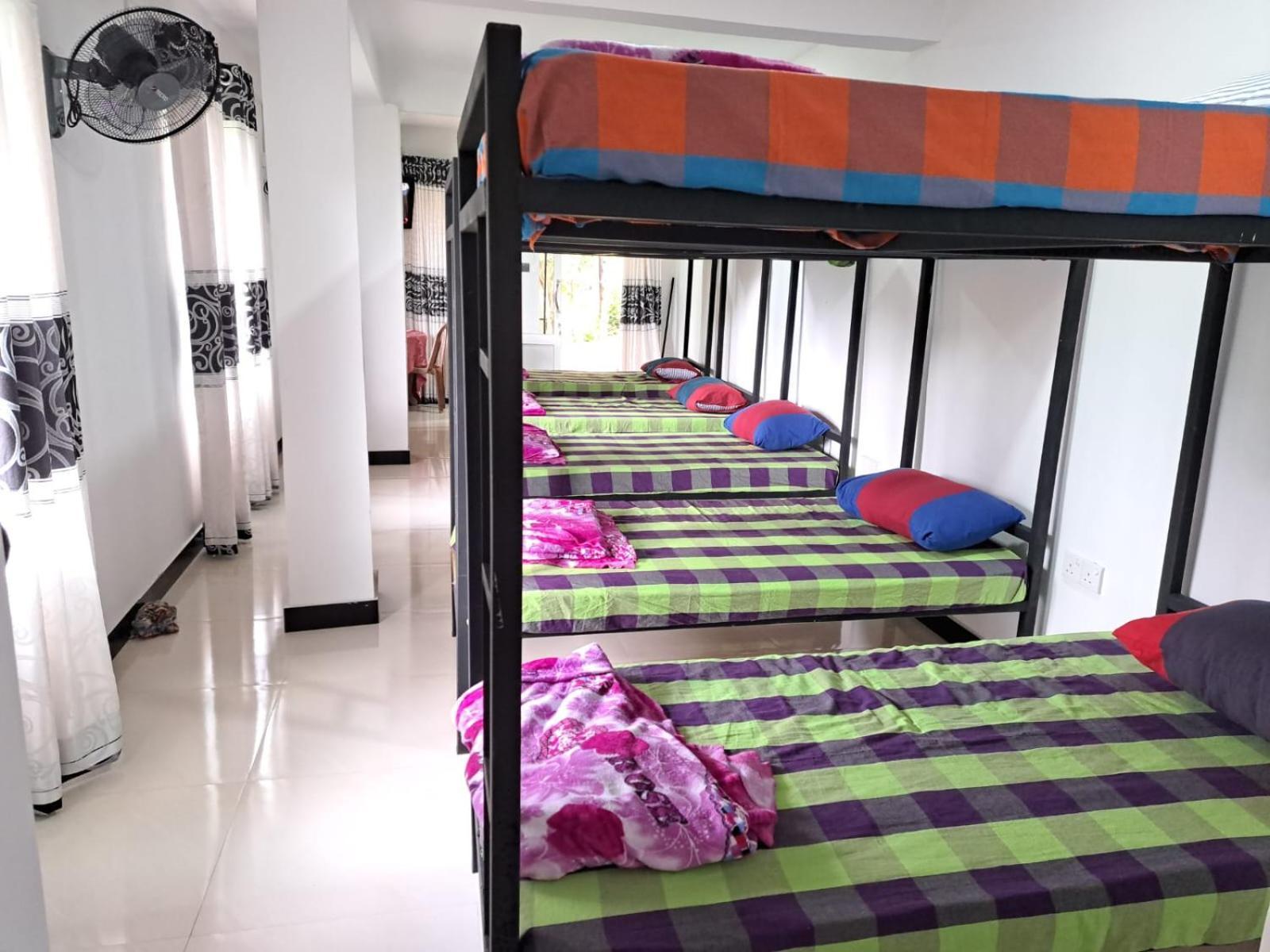 The " Onex Paradise " Ella Phòng bức ảnh