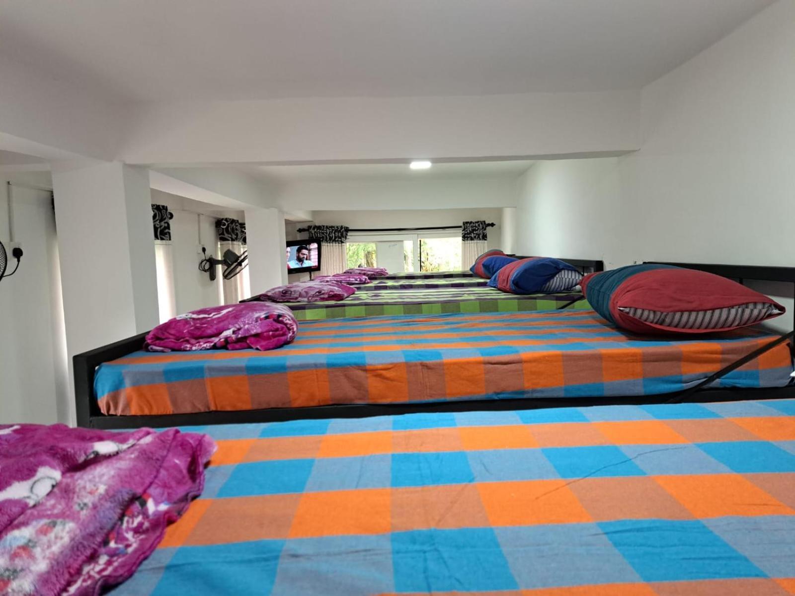 The " Onex Paradise " Ella Phòng bức ảnh